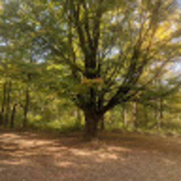 Meet your Posher, K - Picture 1 of 1